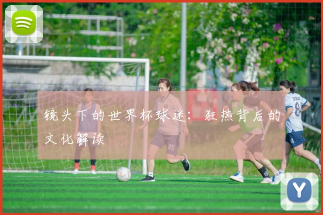 镜头下的世界杯球迷：狂热背后的文化解读